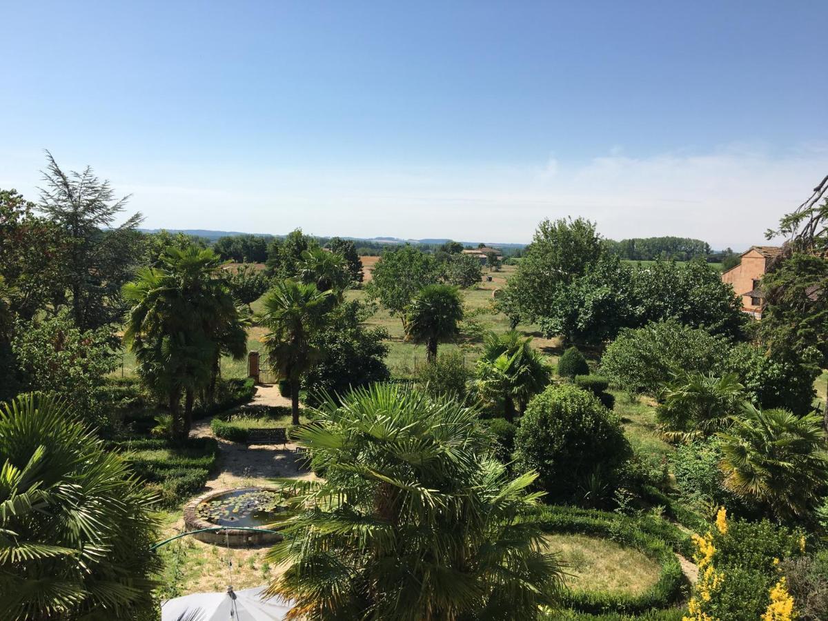Domaine de Ménerque - petit château avec piscine Lisle-sur-Tarn Esterno foto