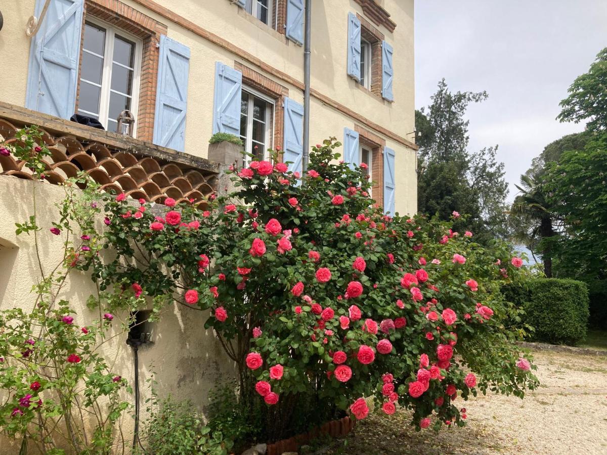 Domaine de Ménerque - petit château avec piscine Lisle-sur-Tarn Esterno foto