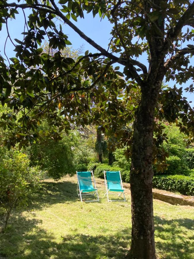 Domaine de Ménerque - petit château avec piscine Lisle-sur-Tarn Esterno foto