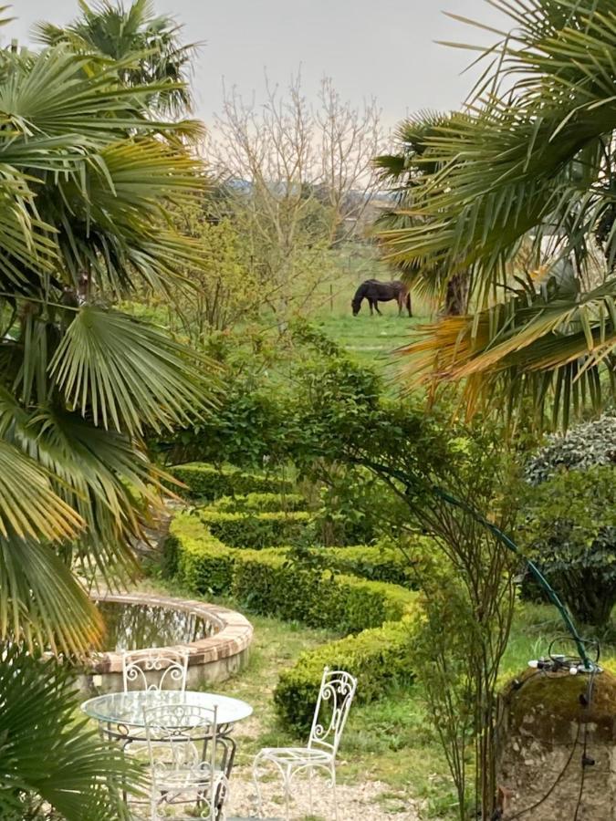 Domaine de Ménerque - petit château avec piscine Lisle-sur-Tarn Esterno foto