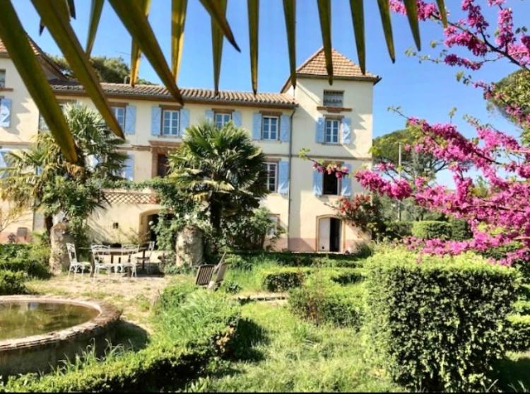 Domaine de Ménerque - petit château avec piscine Lisle-sur-Tarn Esterno foto