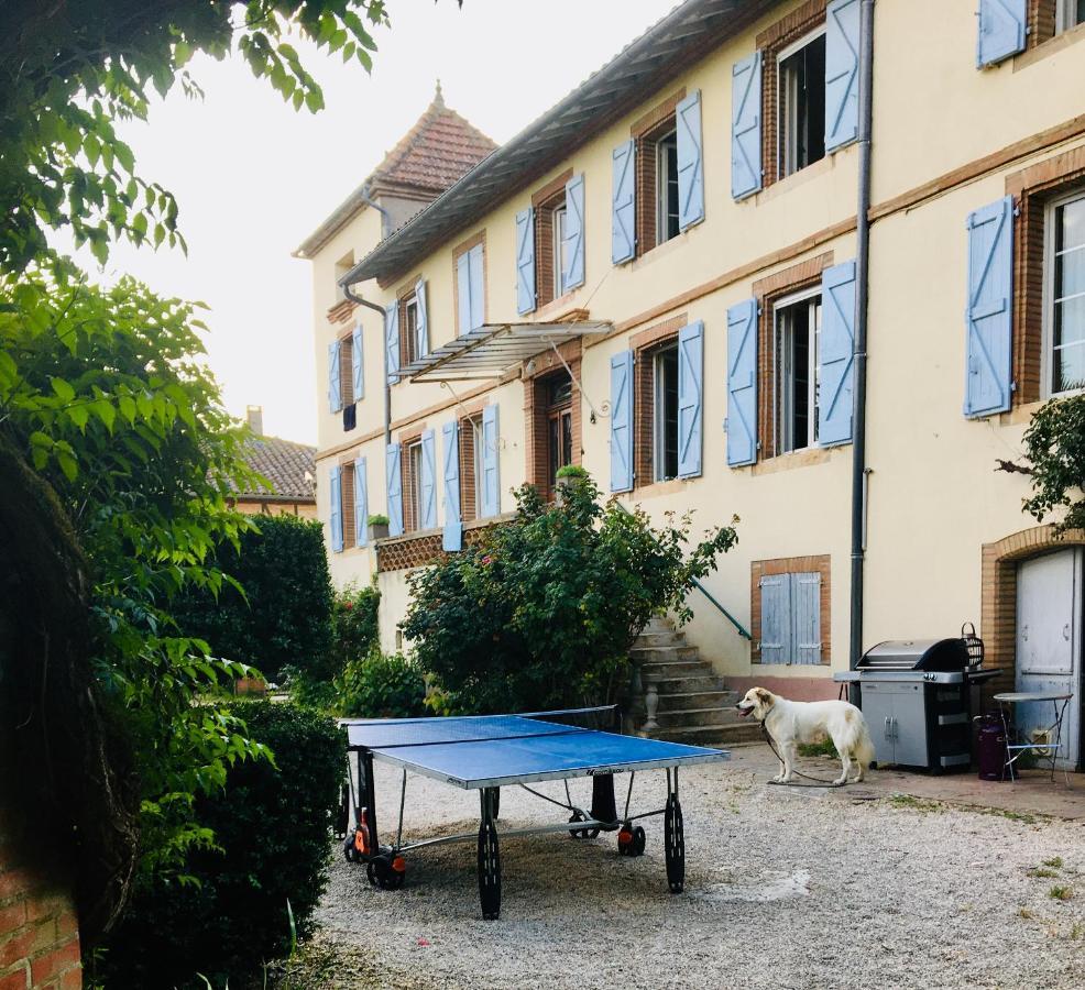 Domaine de Ménerque - petit château avec piscine Lisle-sur-Tarn Esterno foto